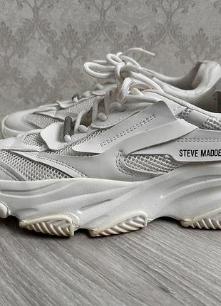 Стильні кросівки steve madden