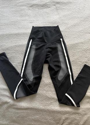 Лосіни adidas