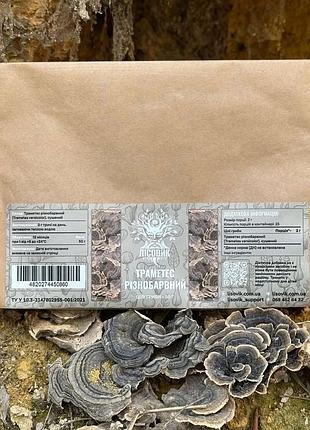 Траметес різнобарвний, сушений гриб 50 г (481505)