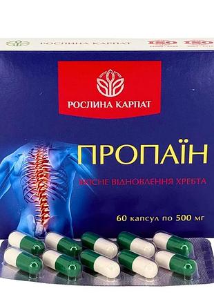 Пропаїн – зміцнення суглобів і хребта, природне відновлення рухливості рослина карпат (484798)