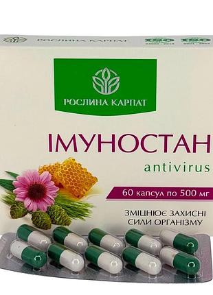 Імуностан - antivirus – природний захист від вірусів та підтримка імунітету рослина карпат (484758)