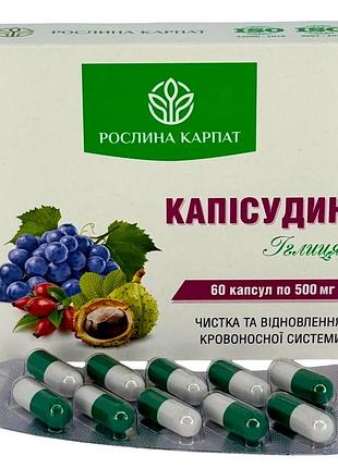 Капісудин – для очищення судин та покращення кровообігу рослина карпат (484791)