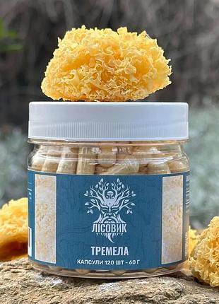 Тремела (tremella fuciformis), капсули по 120 шт 0.5 г (481906)