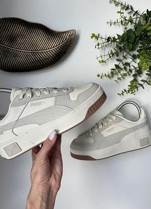 Кросівки puma carina street
