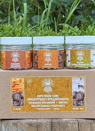 Курс focus flow: концентрація та продуктивність (1 місяць) (482755)