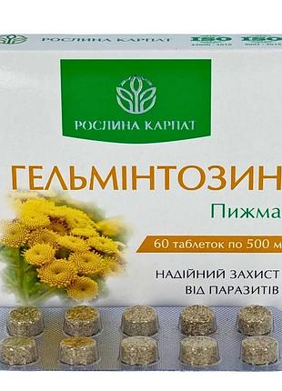 Гельмінтозин – натуральний комплекс для очищення організму від паразитів рослина карпат (484726)