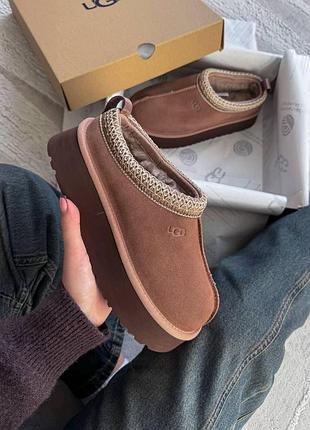 Tasman platform light brown