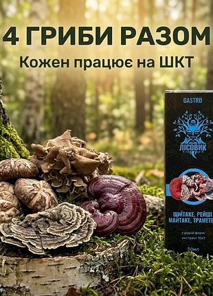 Комплекс рідких екстрактів gastro для покращення роботи шкт, 50 мл (484389)