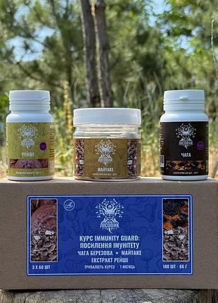 Курс immunity guard: посилення імунітету (1 місяць) (482752)