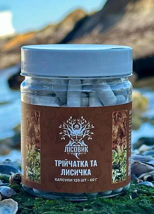 Трійчатка з лисичкою протипаразитна в капсулах 120 шт по 0,5 г (469833)
