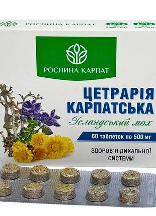 Цетрарія карпатська 60 таб. – природний засіб для дихання рослина карпат (484815)