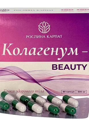Колагенум beauty – природний комплекс для омолодження та здорової шкіри рослина карпат (484795)