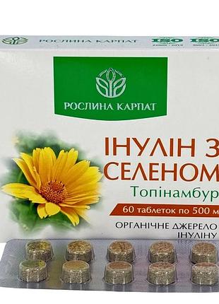 Інулін з селеном – природна підтримка при цукровому діабеті рослина карпат (484733)