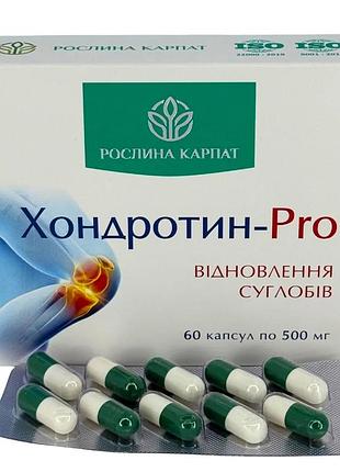 Хондротин-pro 60 таб. – природний захист ваших суглобів рослина карпат (484814)