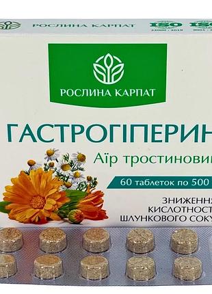 Гастрогіперин – природне рішення для здоров’я шлунка та нормалізації кислотності рослина карпат (484748)