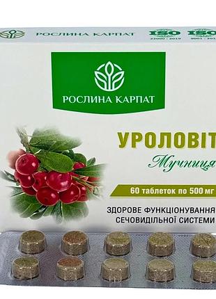 Уроловіт – природна підтримка нирок та сечової системи рослина карпат (484757)
