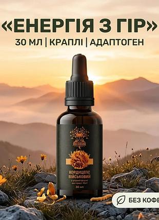 Рідкий екстракт, кордицепса військового 30 мл (484284)