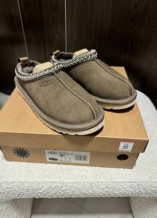 Tasman cozzy 2