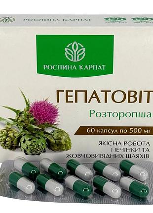 Гепатовіт – ефективний засіб для підтримки та відновлення печінки рослина карпат (484739)