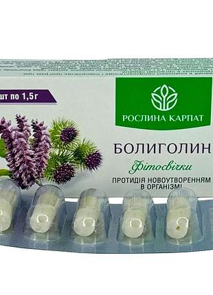 Фитосвечи болиголин 10 шт. – природная поддержка при новообразованиях рослина карпат (484809)