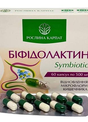 Бифидолактин symbiotic – поддержка микрофлоры и здоровья пищеварения рослина карпат (484732)
