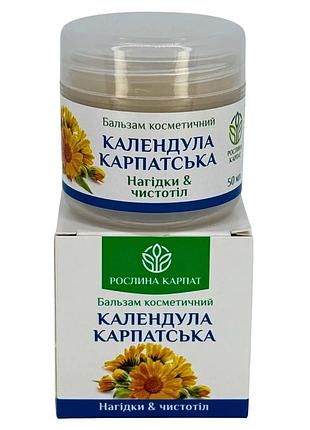 Бальзам календула карпатська – натуральний догляд та загоєння шкіри рослина карпат (484772)