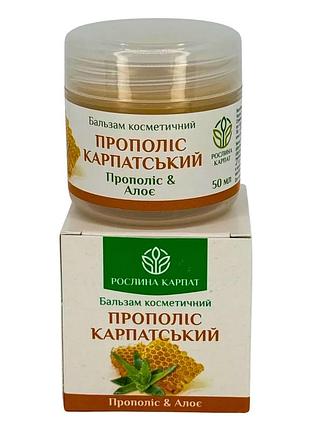 Бальзам прополіс карпатський – природний захист і загоєння шкіри рослина карпат (484775)