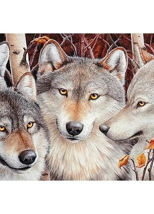 Алмазная мозаика волчья стая 50х65 см акриловые стразы без подрамника (576621)