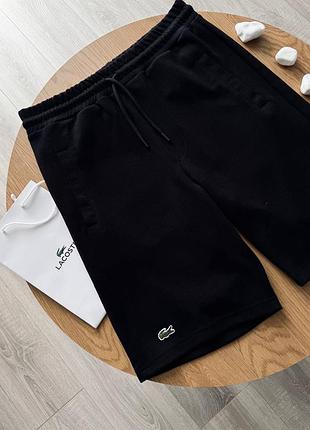 Чоловічі шорти lacoste