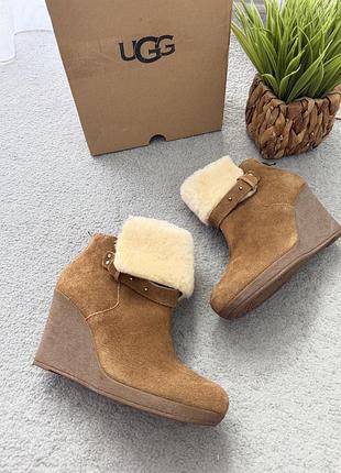Жіночі натуральні ботинки ugg australia оригінал 38 р