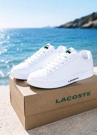 Lacoste білі чоловічі кеди | класичні шкіряні кросівки | повсякденний стиль | 40–46 мужские кеди кроссовки класик