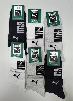 Чоловічі шкарпетки puma в наборі по 6 шт. шкарпетки з бавовни 6 шт. в уп. розмір 41-45