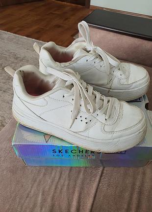 Кеди білі skechers