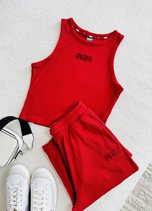 Костюм puma