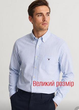 Gant чоловіча сорочка, сорочка в смужку