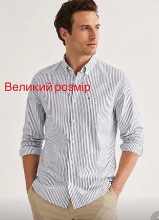 Tommy hilfiger сорочка в смужку, брендова сорочка, рубашка