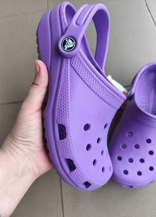 Новые crocs