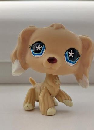 Littlest pet shop фигурка лпс собака кокер спаниэль игрушка фигурки игрушки lps литолс пет шоп петшоп собачка pet shops pets shop пет шопы