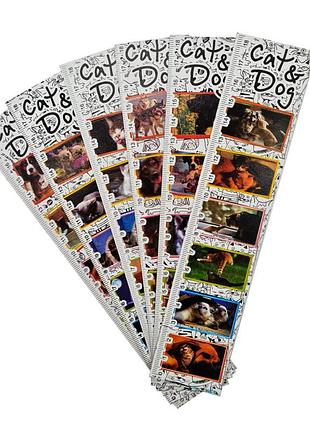 Набор закладок для книг зк-01, 6 шт cat&dog