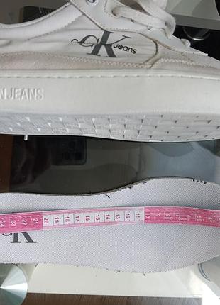 Calvin klein 43 6
