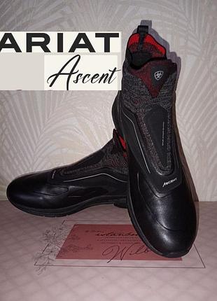 Продам женскую обувь всадника Mariat ascent р.42