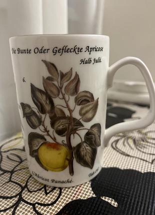 Порцелянова чашка staffordshire tableware велико британія.вона є частиною колекції natural history museum, присвяченої фруктам, зокрема грушам.