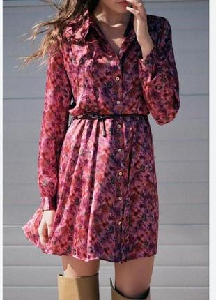 Сукня zara