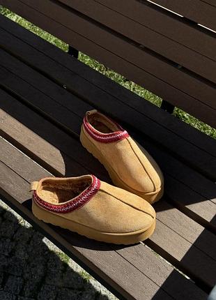 U tasman brown