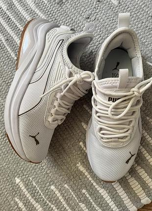Кросівки puma сітка