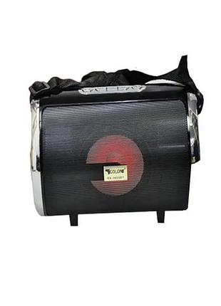 Портативна колонка golon-rx 1855 з bluetooth та fm радіо, портативна акустика