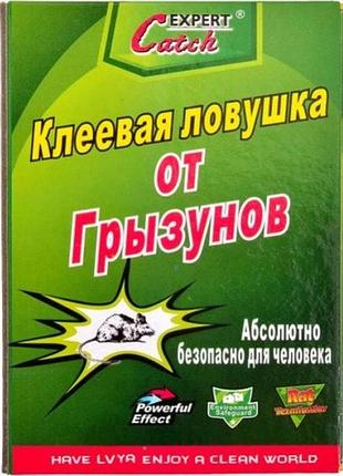 Универсальная клеевая ловушка для грызунов expert catch