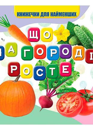 Моя первая книга "исследуй мир огородных растений"