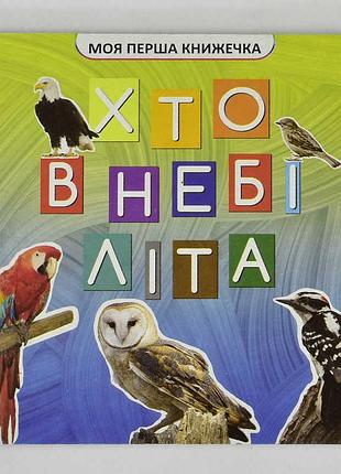 Моя первая книжечка для малышей кто в небе летает vr06041708 с яркими иллюстрациями