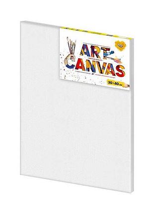 Полотно для творчості "art canvas" ac-3040 від danko toys - 30х40 см